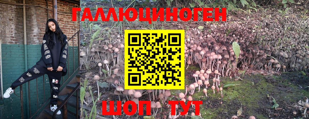 Кемерово  Псилоцибиновые грибы Psilocybe  магазин  наркотиков  Вход с VPN 