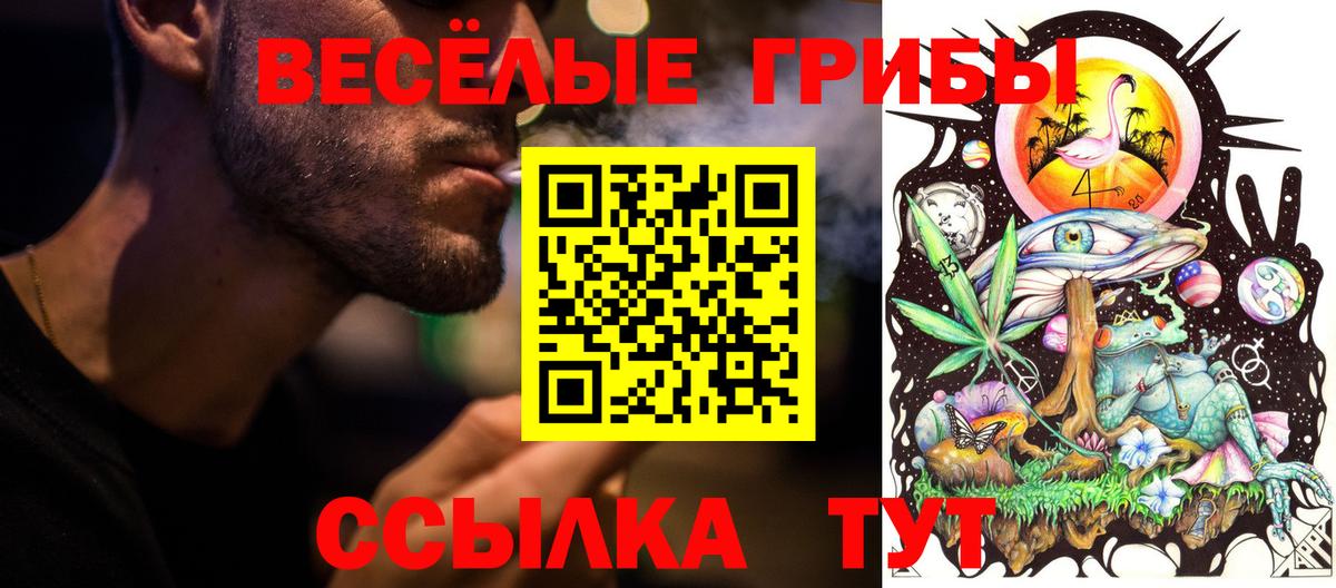 Галлюциногенные грибы MAGIC MUSHROOMS Кемерово